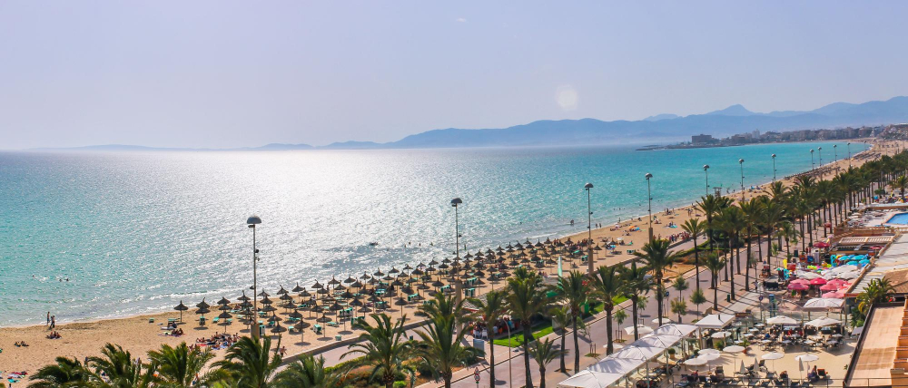Palma di Maiorca